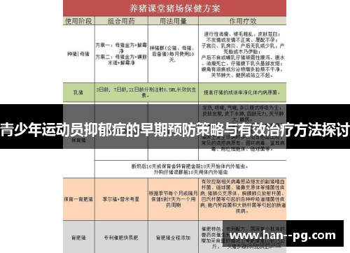 青少年运动员抑郁症的早期预防策略与有效治疗方法探讨
