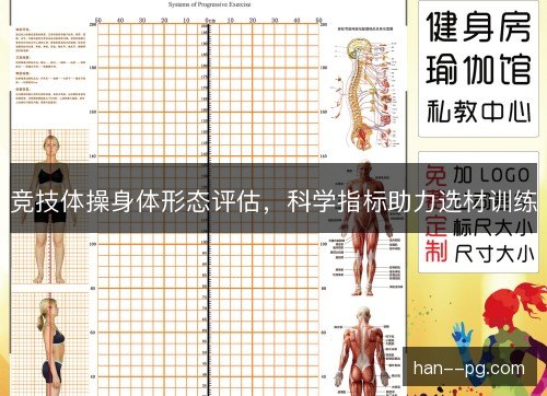 竞技体操身体形态评估，科学指标助力选材训练